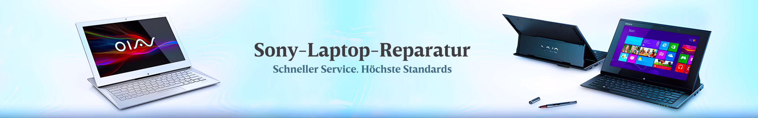Sony Laptop Reparatur